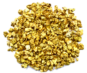 1.550 GRAMS ALASKAN YUKON BC NATURAL PURE GOLD NUGGETS #10 MESH