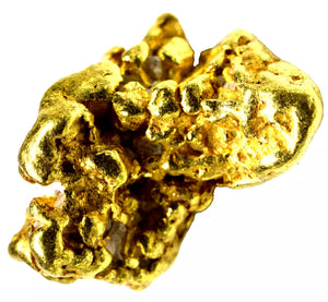 8.037 GRAMS ALASKAN YUKON BC NATURAL PURE GOLD NUGGET GENUINE (#AK500)