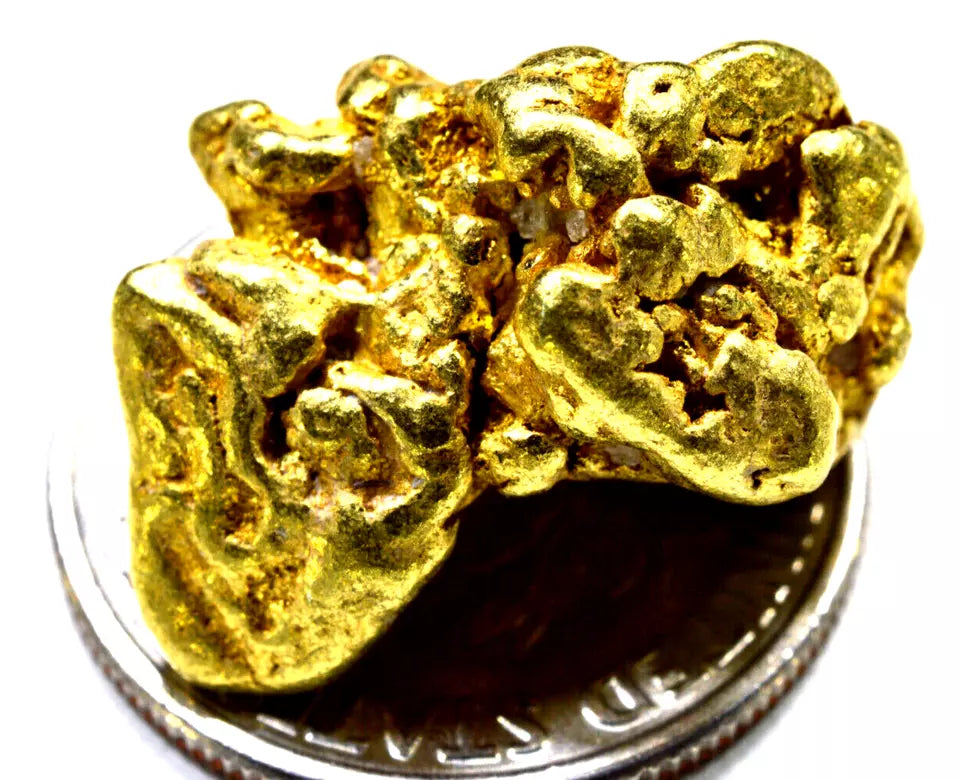 8.037 GRAMS ALASKAN YUKON BC NATURAL PURE GOLD NUGGET GENUINE (#AK500)