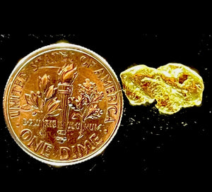 1.988 GRAMS ALASKAN YUKON BC NATURAL PURE GOLD NUGGET GENUINE #AK518