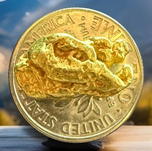 2.848 GRAMS ALASKAN YUKON BC NATURAL PURE GOLD NUGGET GENUINE (#AK103