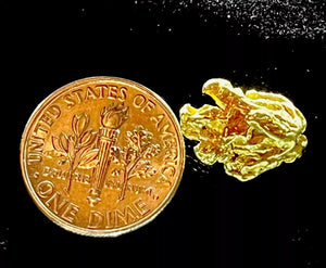 3.225 GRAMS ALASKAN YUKON BC NATURAL PURE GOLD NUGGET GENUINE (#AK102