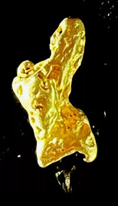 1.766 GRAMS AUSTRALIAN NATURAL PURE GOLD NUGGET GENUINE HIGH PURITY #AUSSIE415