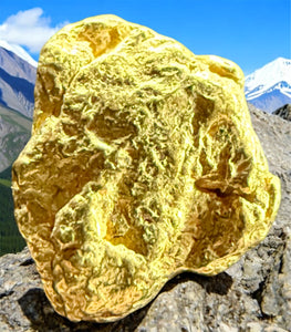 1.531 GRAMS ALASKAN YUKON BC NATURAL PURE GOLD NUGGET GENUINE #AK405