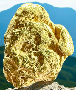 1.531 GRAMS ALASKAN YUKON BC NATURAL PURE GOLD NUGGET GENUINE #AK405