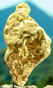 1.000 GRAMS ALASKAN YUKON BC NATURAL PURE GOLD NUGGET GENUINE #AK409