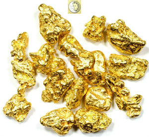 0.800+ GRAMS ALASKAN YUKON BC NATURAL PURE GOLD NUGGET HAND PICKED - Liquidbullion