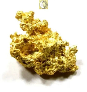 0.900+ GRAMS ALASKAN YUKON BC NATURAL PURE GOLD NUGGET HAND PICKED - Liquidbullion