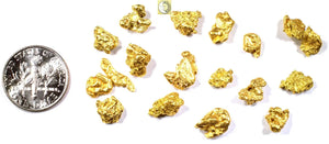 1.000+ GRAMS ALASKAN YUKON BC NATURAL PURE GOLD NUGGET HAND PICKED - Liquidbullion