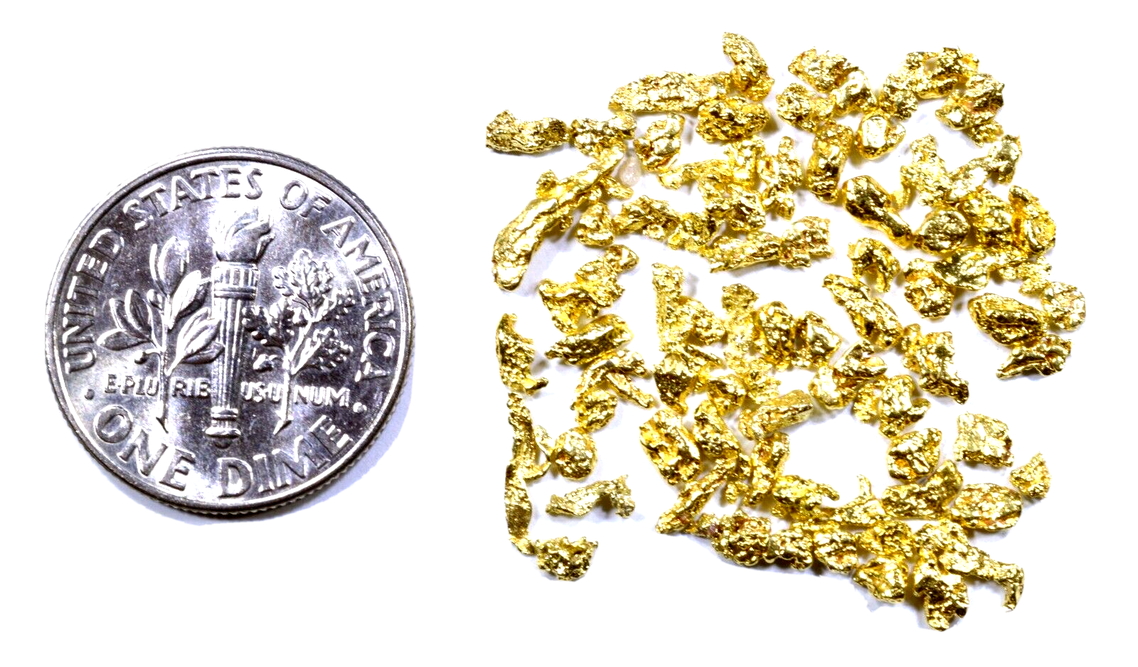1.550 GRAMS ALASKAN YUKON BC NATURAL PURE GOLD NUGGETS #12 MESH
