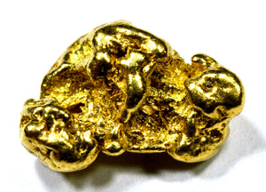1.300 GRAMS ALASKAN YUKON BC NATURAL PURE GOLD NUGGET GENUINE (#N103)