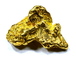 1.565 GRAMS ALASKAN YUKON BC NATURAL PURE GOLD NUGGET GENUINE (#N101)