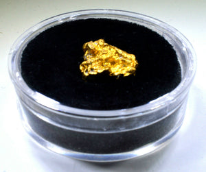 SMALL NATURAL GOLD NUGGET GEM HOLDER FOR ALASKAN & AUSTRALIAN GOLD NUGGETS