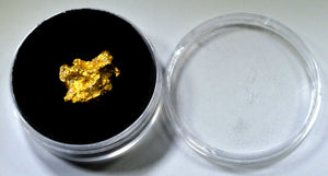 SMALL NATURAL GOLD NUGGET GEM HOLDER FOR ALASKAN & AUSTRALIAN GOLD NUGGETS