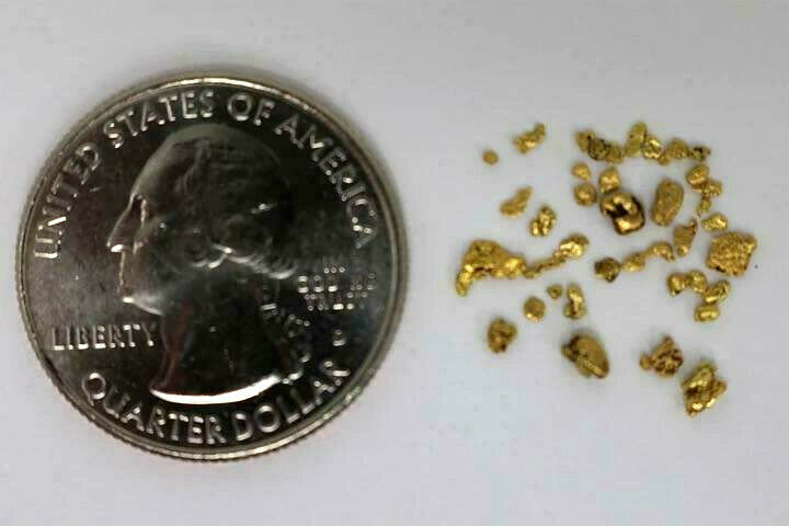 1 LB OF GOLD PAYDIRT - 1/2 GRAM NOVICE LEVEL