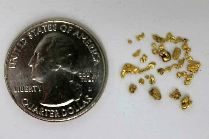 3 X 1 LB OF GOLD PAYDIRT SET - 1/2 GRAM NOVICE, ADVANCED & INTERMEDIATE LEVEL