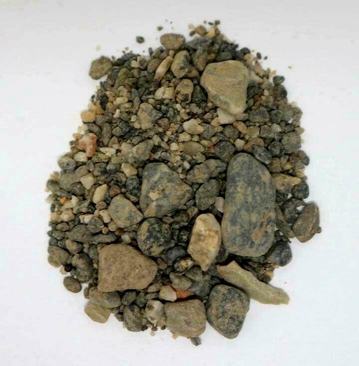 3 LB JAR OF GOLD PAYDIRT - 2 GRAMS ADVANCED LEVEL