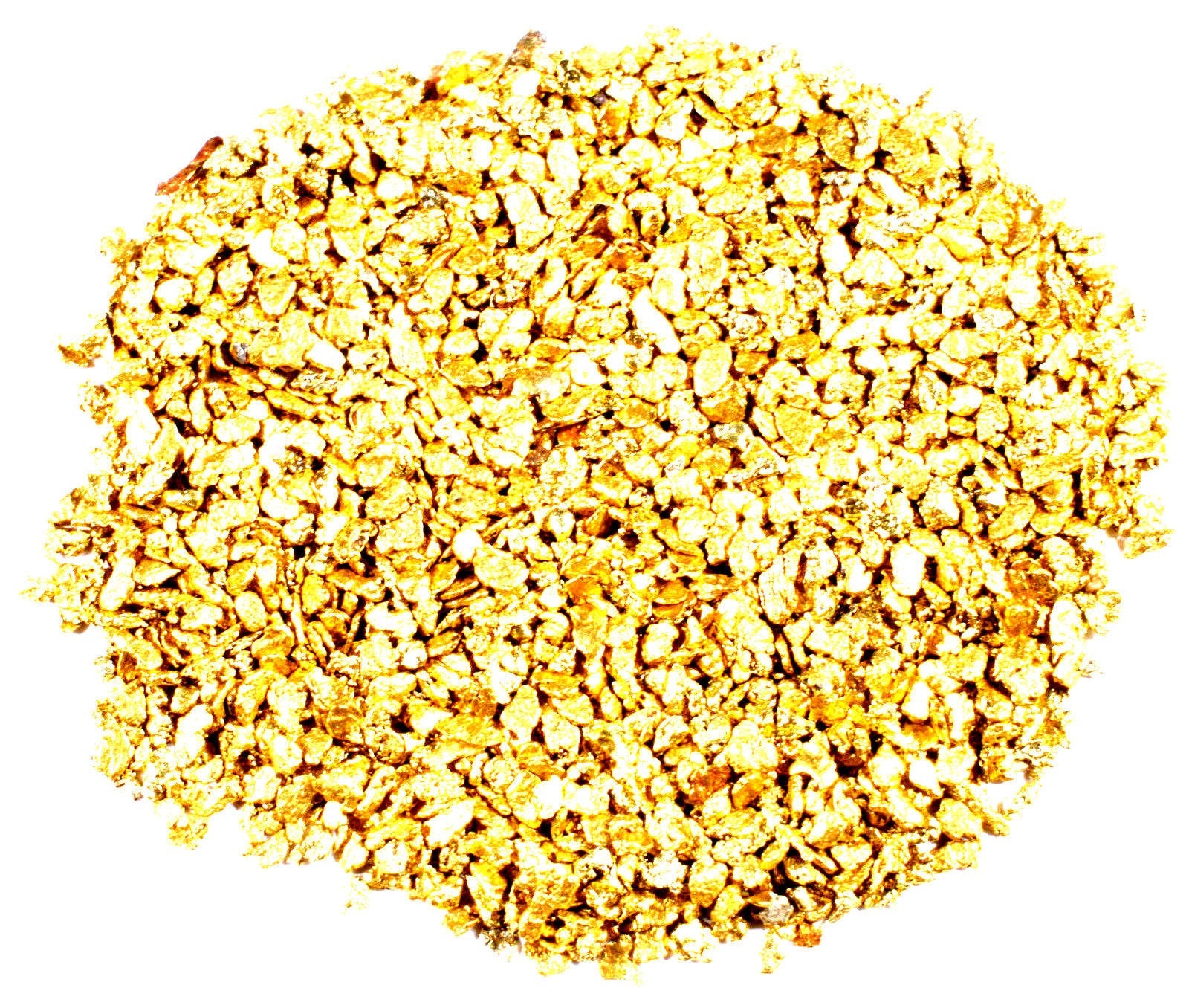 10 PIECE LOT ALASKAN YUKON BC NATURAL PURE GOLD NUGGETS (#B250) - Liquidbullion