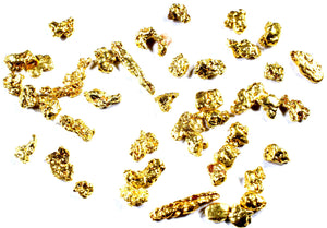 0.500 GRAMS ALASKAN YUKON BC NATURAL PURE GOLD NUGGETS #14 MESH - Liquidbullion