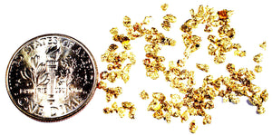 1.550 GRAMS ALASKAN YUKON BC NATURAL PURE GOLD NUGGETS #18 MESH - Liquidbullion