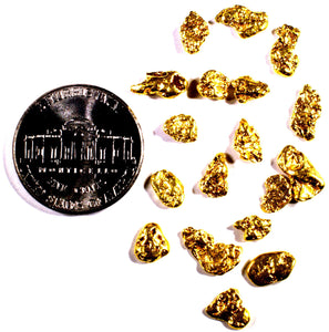 0.300+ GRAMS ALASKAN YUKON BC NATURAL PURE GOLD NUGGET HAND PICKED - Liquidbullion