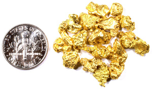 1.000+ GRAMS ALASKAN YUKON BC NATURAL PURE GOLD NUGGET HAND PICKED - Liquidbullion