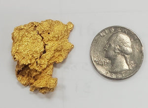 21.15 GRAMS AUSTRALIAN NATURAL PURE GOLD NUGGET GENUINE (#AU620)